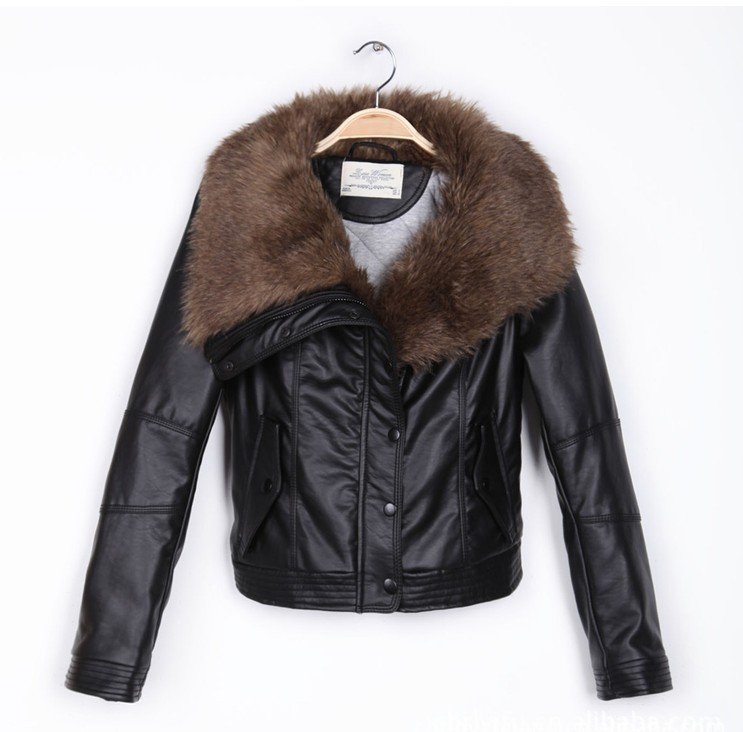 Winter Jackets for Women – Jackets